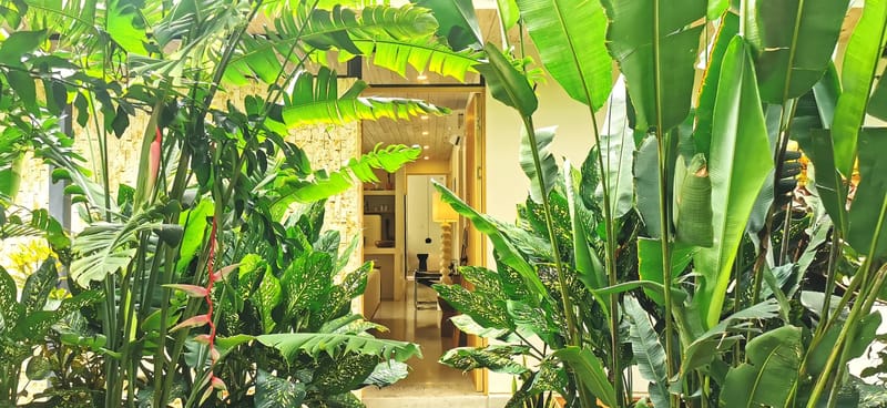 Jardín y espacios exteriores