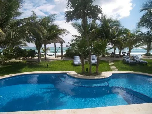 A swimming pool overlooks a grassy beach area with palm trees and lounge chairs.