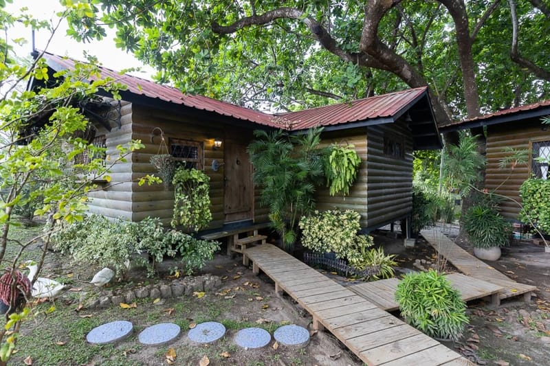 Abuela Tota Tree Cabin #4 by AcoModo @QPR