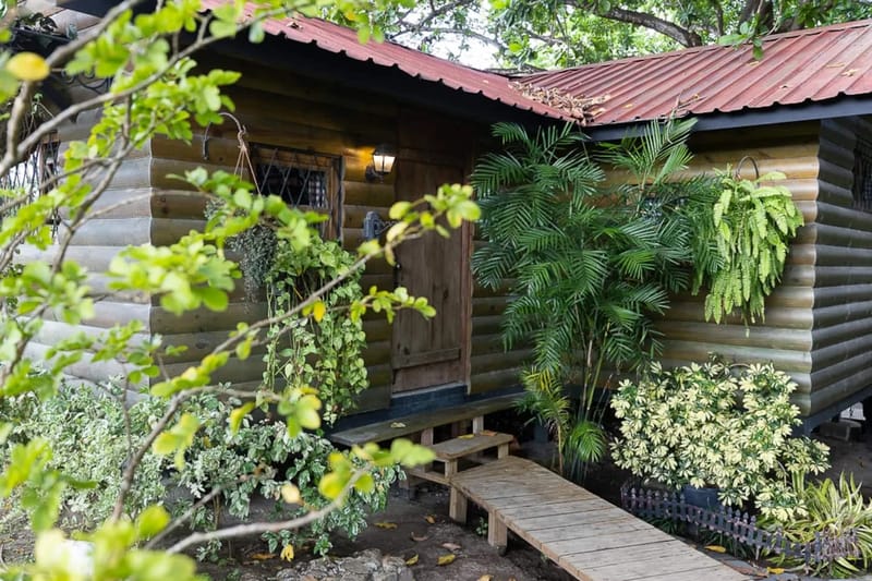 Abuela Tota Tree Cabin #4 by AcoModo @QPR