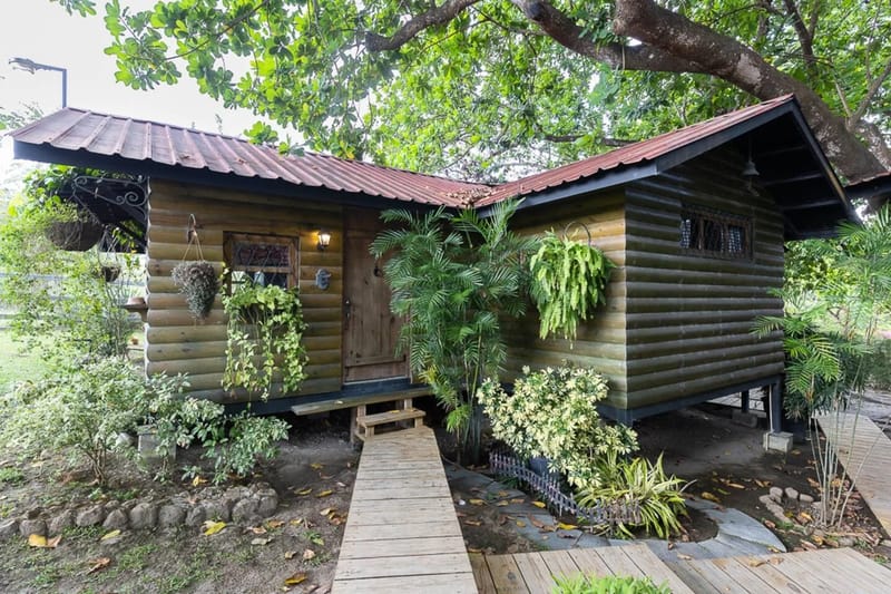 Abuela Tota Tree Cabin #4 by AcoModo @QPR