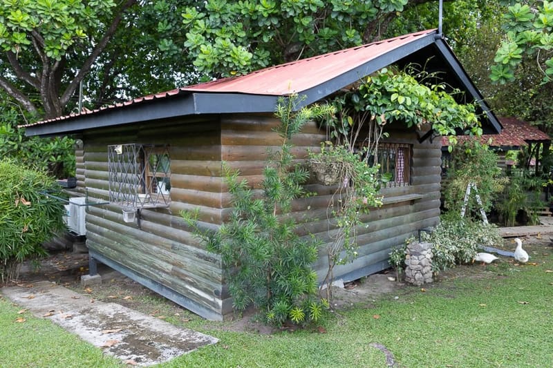 Abuela Tota Tree Cabin #4 by AcoModo @QPR