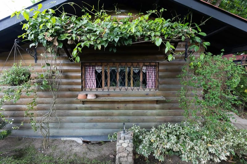 Abuela Tota Tree Cabin #4 by AcoModo @QPR