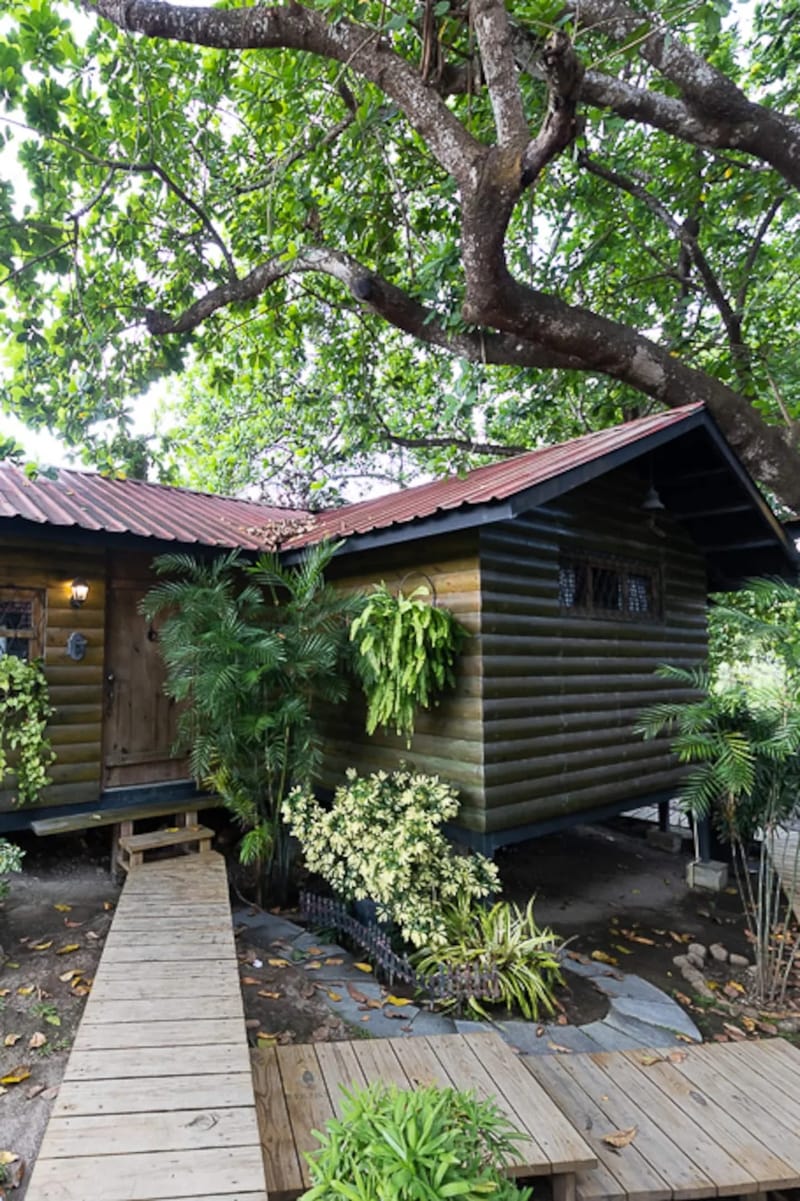 Abuela Tota Tree Cabin #4 by AcoModo @QPR