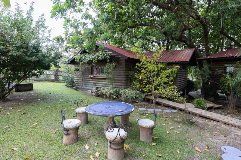Abuela Tota Tree Cabin #4 by AcoModo @QPR