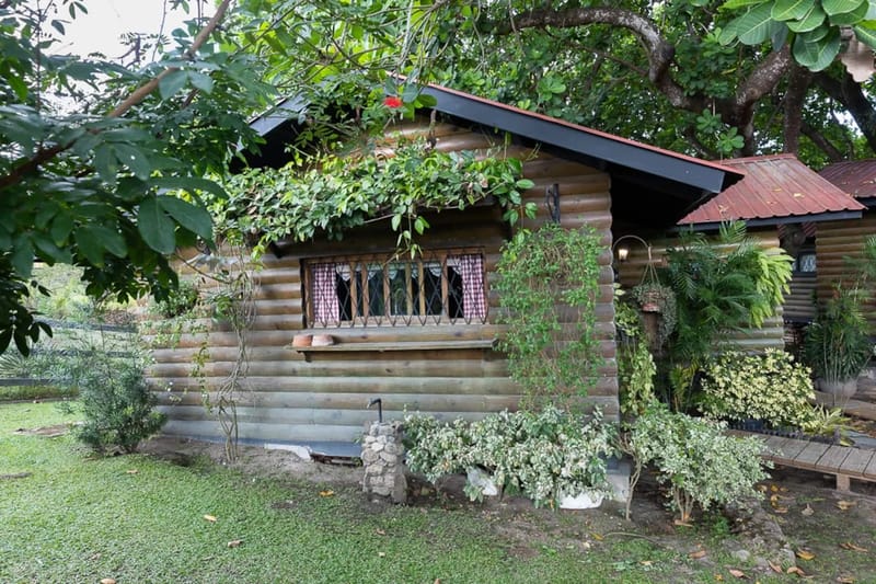 Abuela Tota Tree Cabin #4 by AcoModo @QPR
