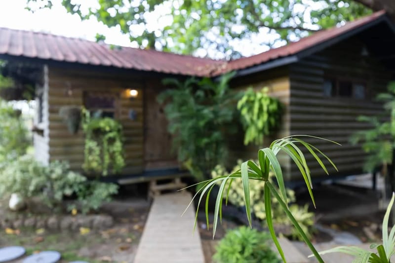 Abuela Tota Tree Cabin #4 by AcoModo @QPR