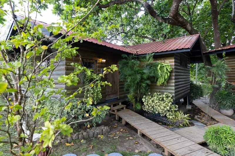 Abuela Tota Tree Cabin #4 by AcoModo @QPR