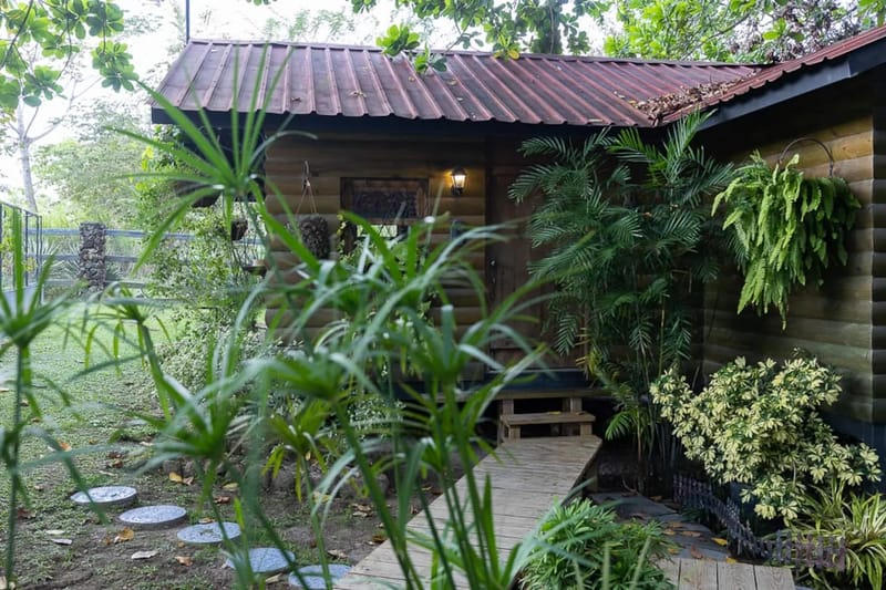 Abuela Tota Tree Cabin #4 by AcoModo @QPR