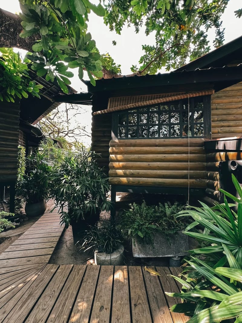 Abuela Tota Tree Cabin #4 by AcoModo @QPR