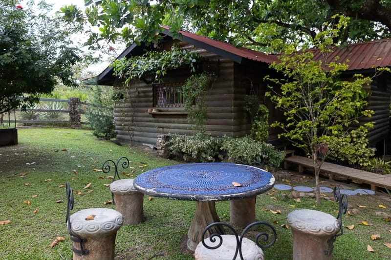 Abuela Tota Tree Cabin #4 by AcoModo @QPR