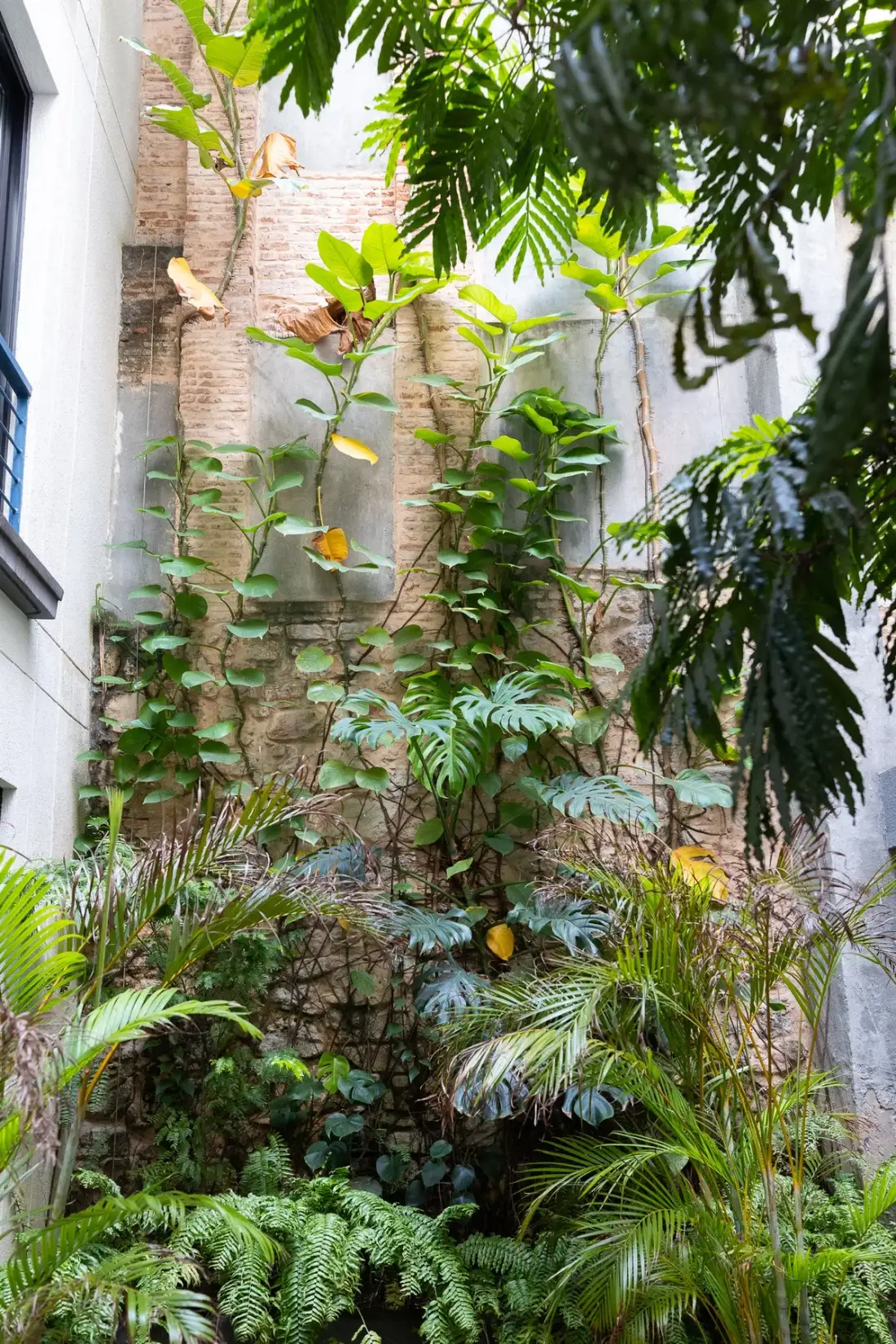 Lumière Luxury by AcoModo  @Casco Viejo
