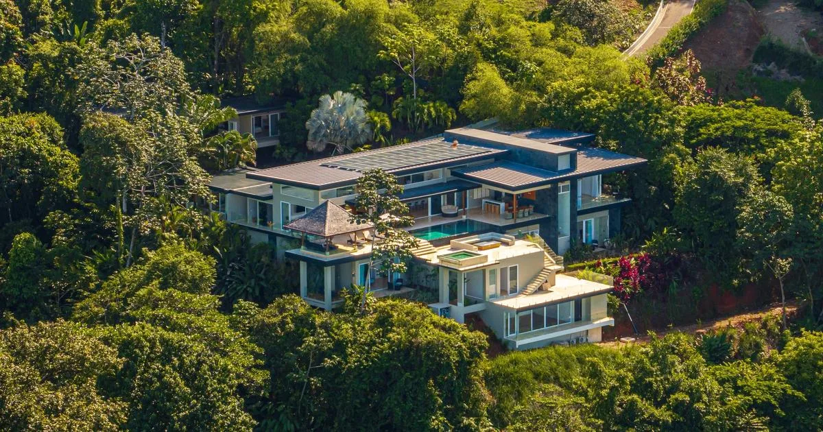A modern house surrounded by dense green trees and vegetation.