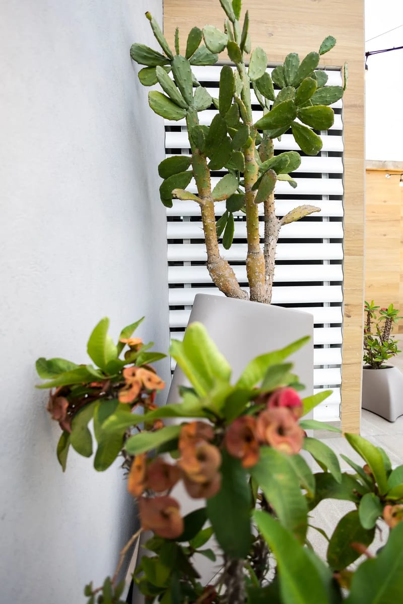The Boho Condo by AcoModo +45 days minimum