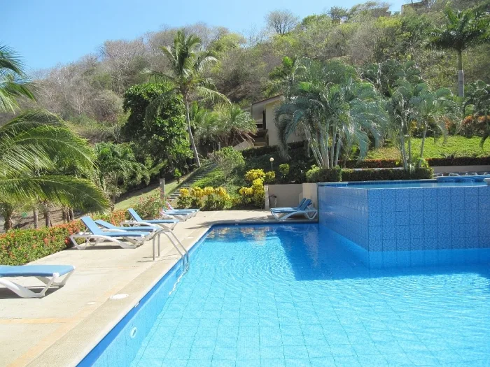 A swimming pool surrounded by palm trees and green hillside vegetation.