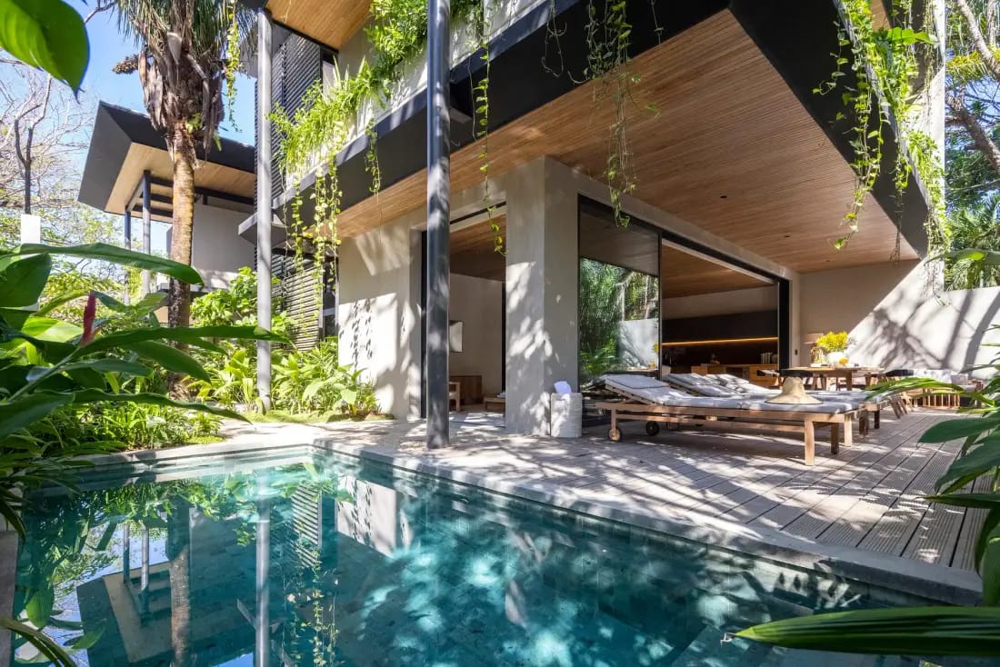 Quin | Jungle House B · 1