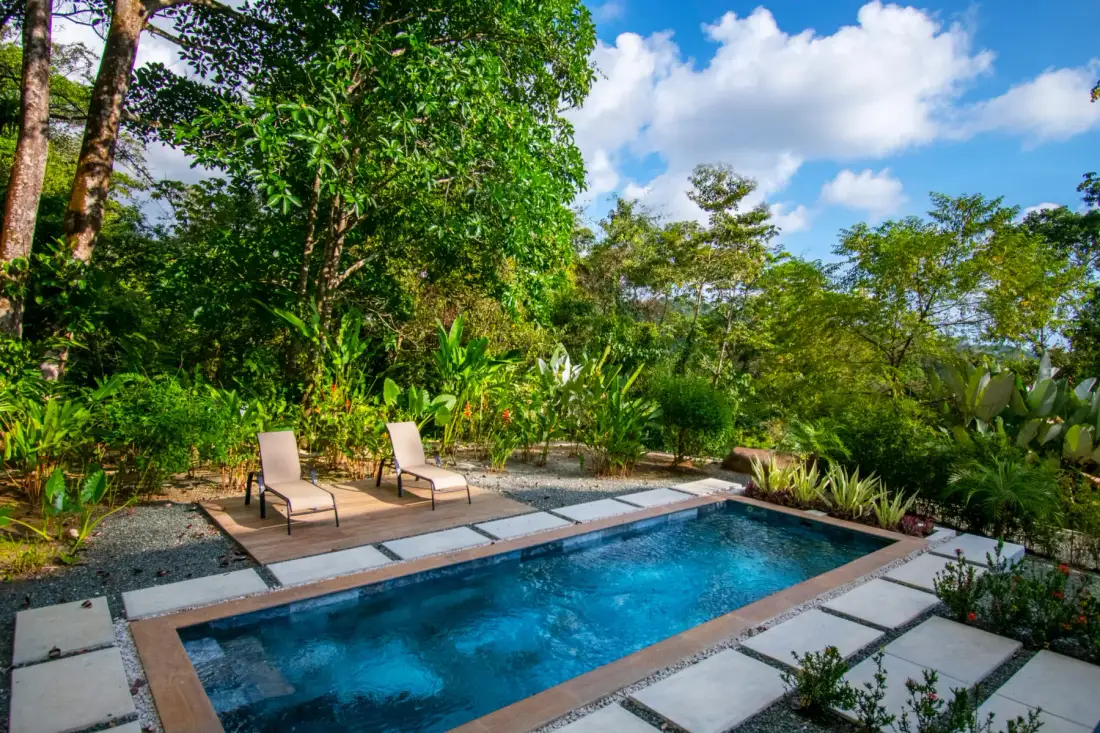 Una piscina al aire libre está junto a tumbonas y abundante vegetación.