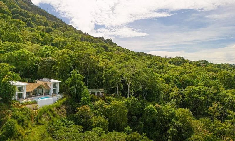 Casa Frenchie & Guest House · 36. This aerial view presents a modern villa complex with an infinity pool and multiple terraces, seamlessly integrated into the expansive, verdant jungle landscape of a Costa Rican hillside under a bright sky.