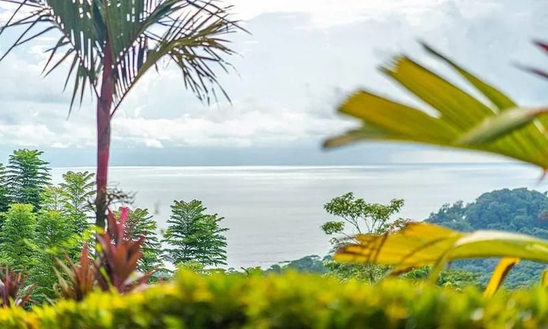 Casa Frenchie & Guest House · 13. An expansive ocean vista unfolds beyond lush tropical foliage, set beneath a bright, cloudy sky.