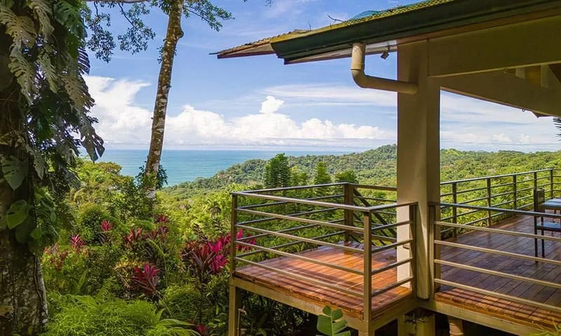 Casa Frenchie & Guest House · 3. This elevated wooden deck offers an open-air living space surrounded by lush jungle, with expansive views extending to the blue ocean horizon.