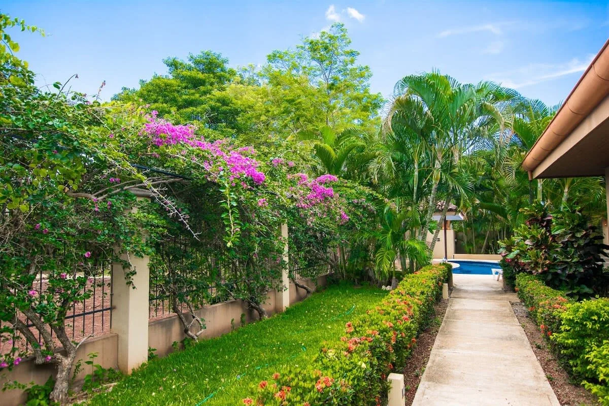 A garden path bordered by flowering plants and palms leads toward a swimming pool.