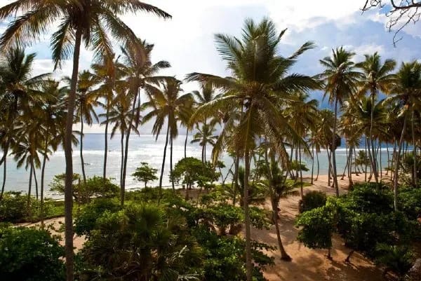 CA-05 — Cabrera Beachfront Rental