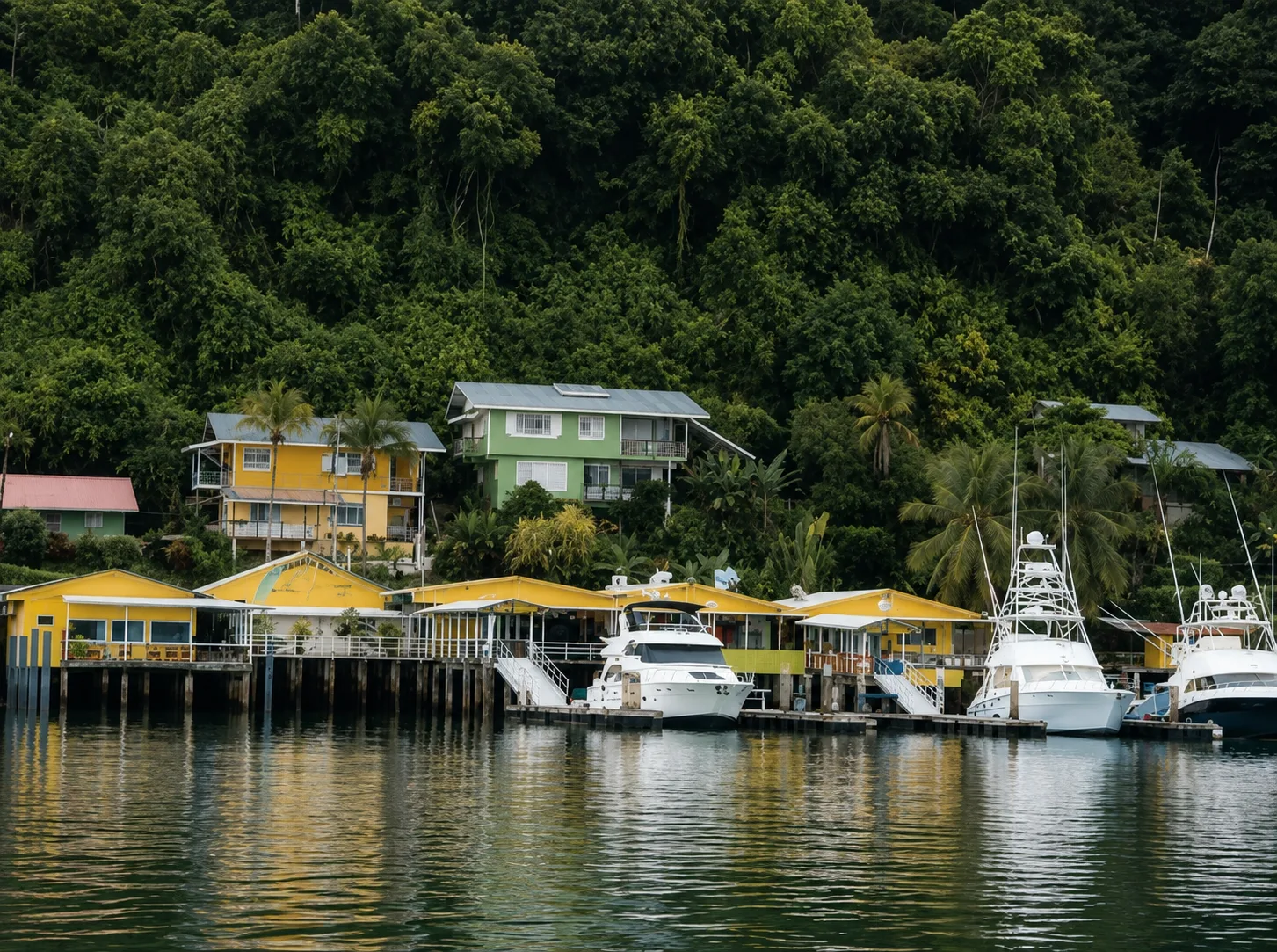 Alojamiento vacacional en Golfito con muelle y bosque tropical de fondo