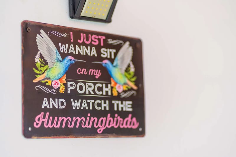 Hummingbird 2