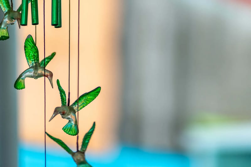 Hummingbird 2