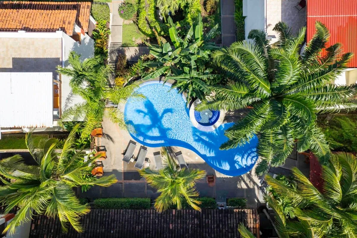 An aerial view of a swimming pool surrounded by palm trees and walkways.