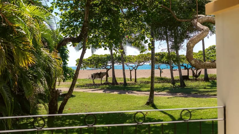 Jaco Beach Paradise