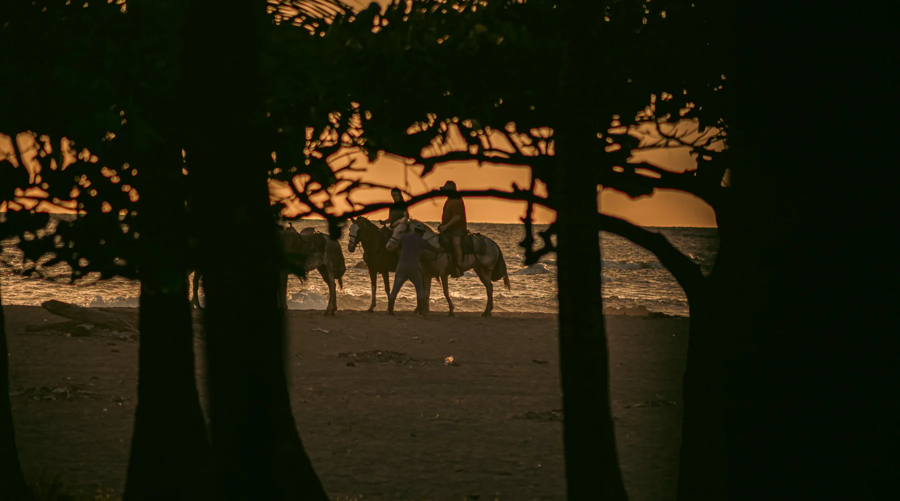 Jaco Beach Paradise