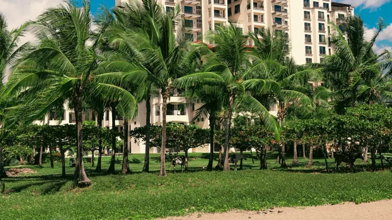 Jaco Beach Paradise