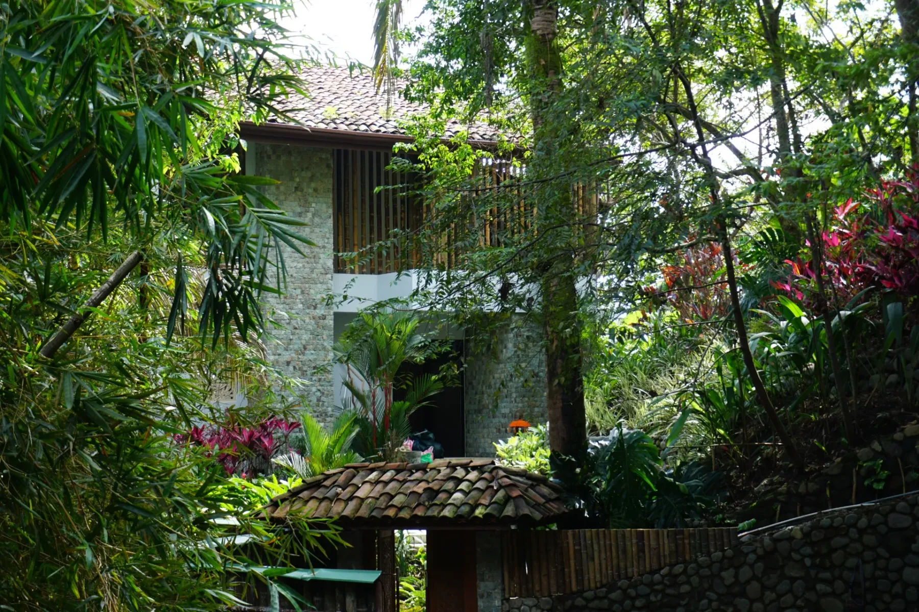 MA-09 — The Tree House