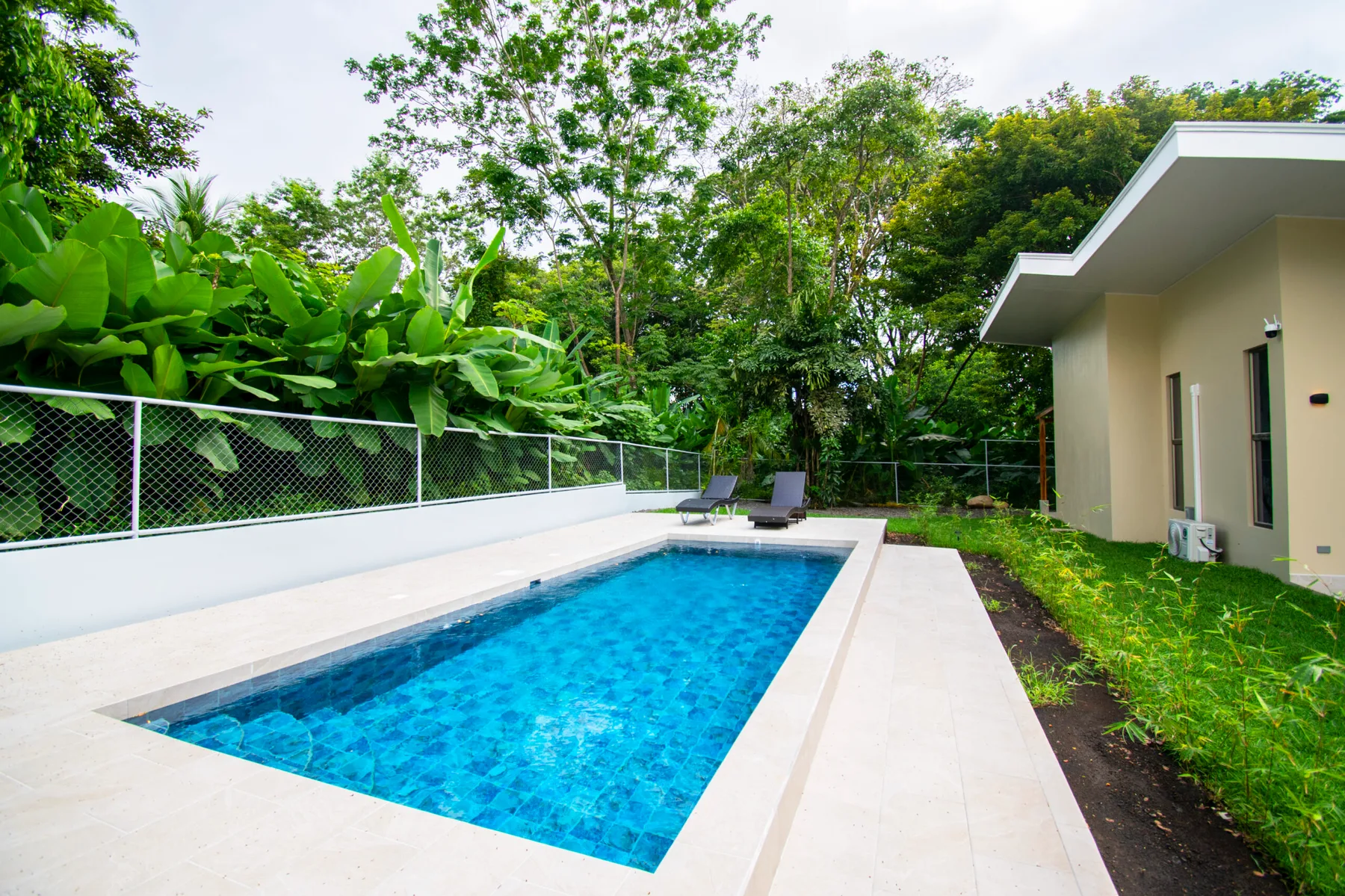 Una piscina al aire libre junto a un edificio moderno, rodeada de abundante vegetación.