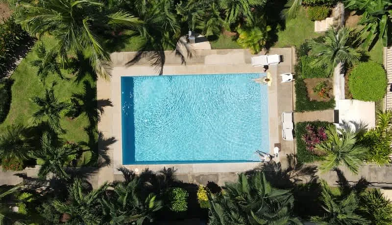 A swimming pool surrounded by palm trees and greenery.