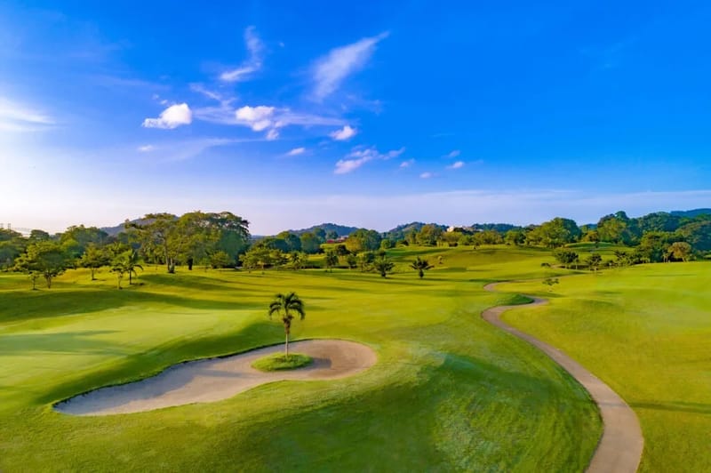The Tucan Golf by AcoModo @Cocolí