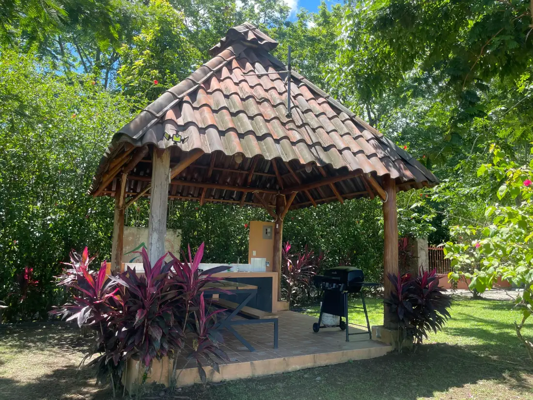 A thatched-roof outdoor pavilion surrounded by leafy plants and trees.