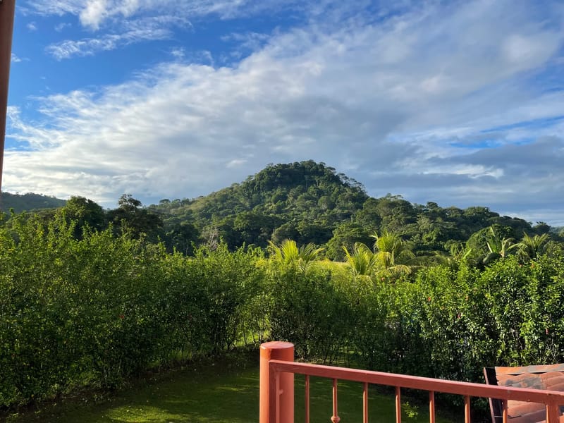 Casa de Kingfisher