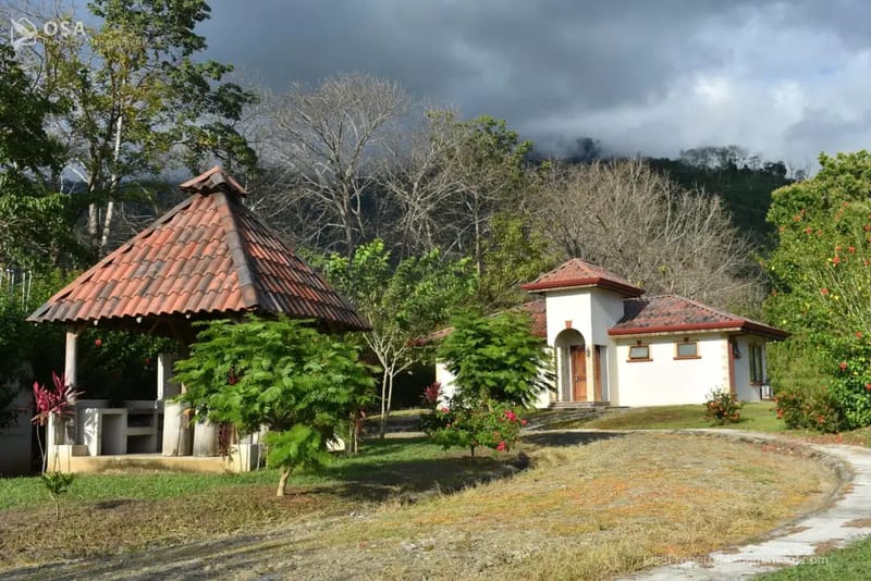 Casa de Kingfisher