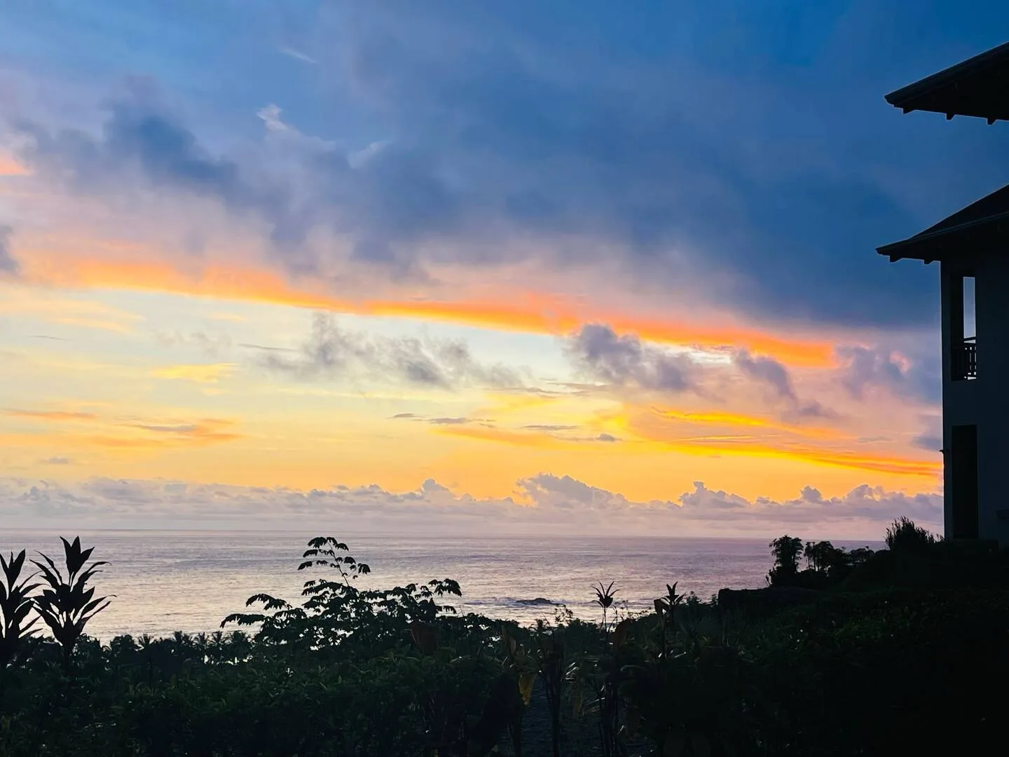 A colorful sunset glows over the ocean, with dark plants along the shore.