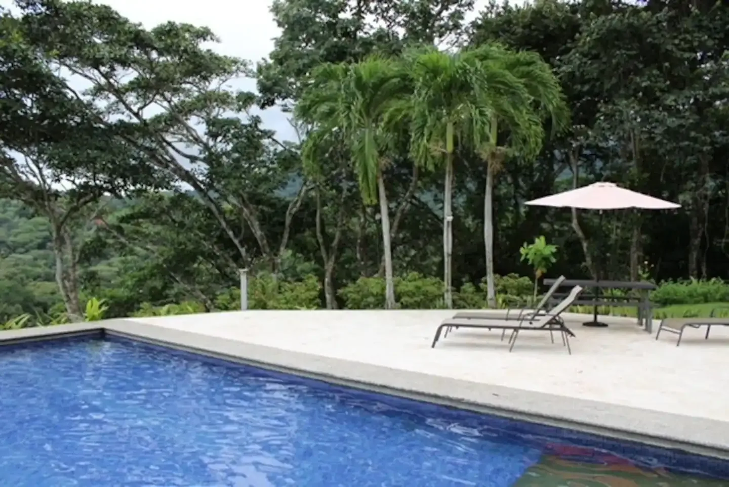 An outdoor swimming pool beside a pale deck, lounge chairs, and leafy trees.