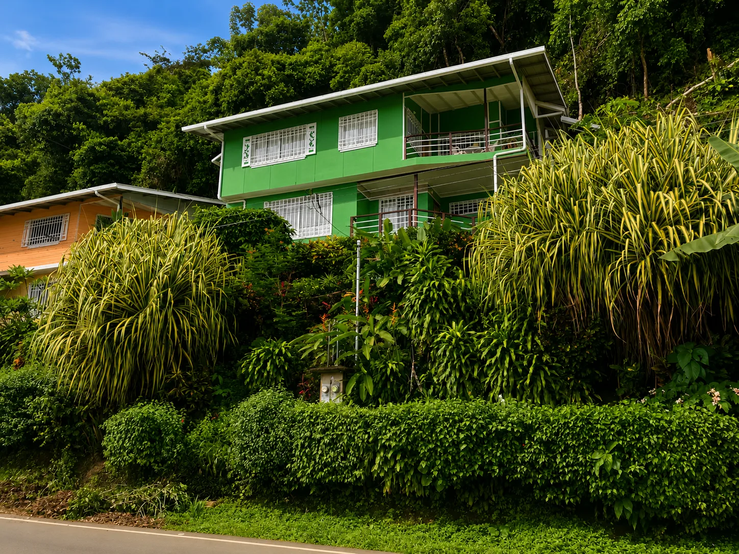 Bahia Vista