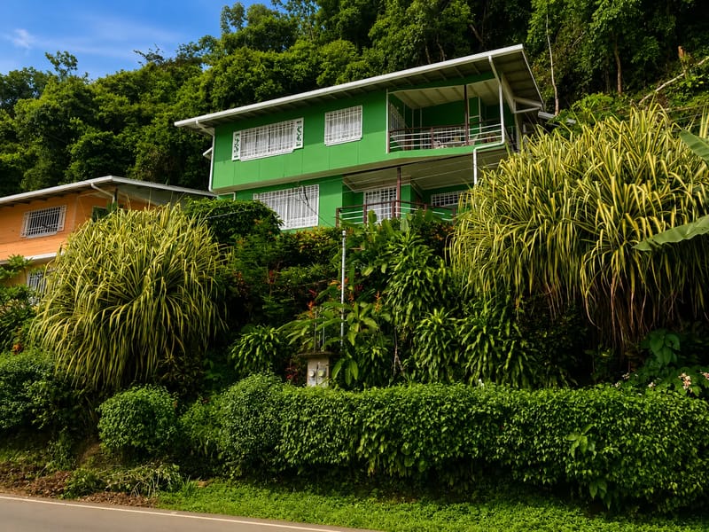 Bahia Vista