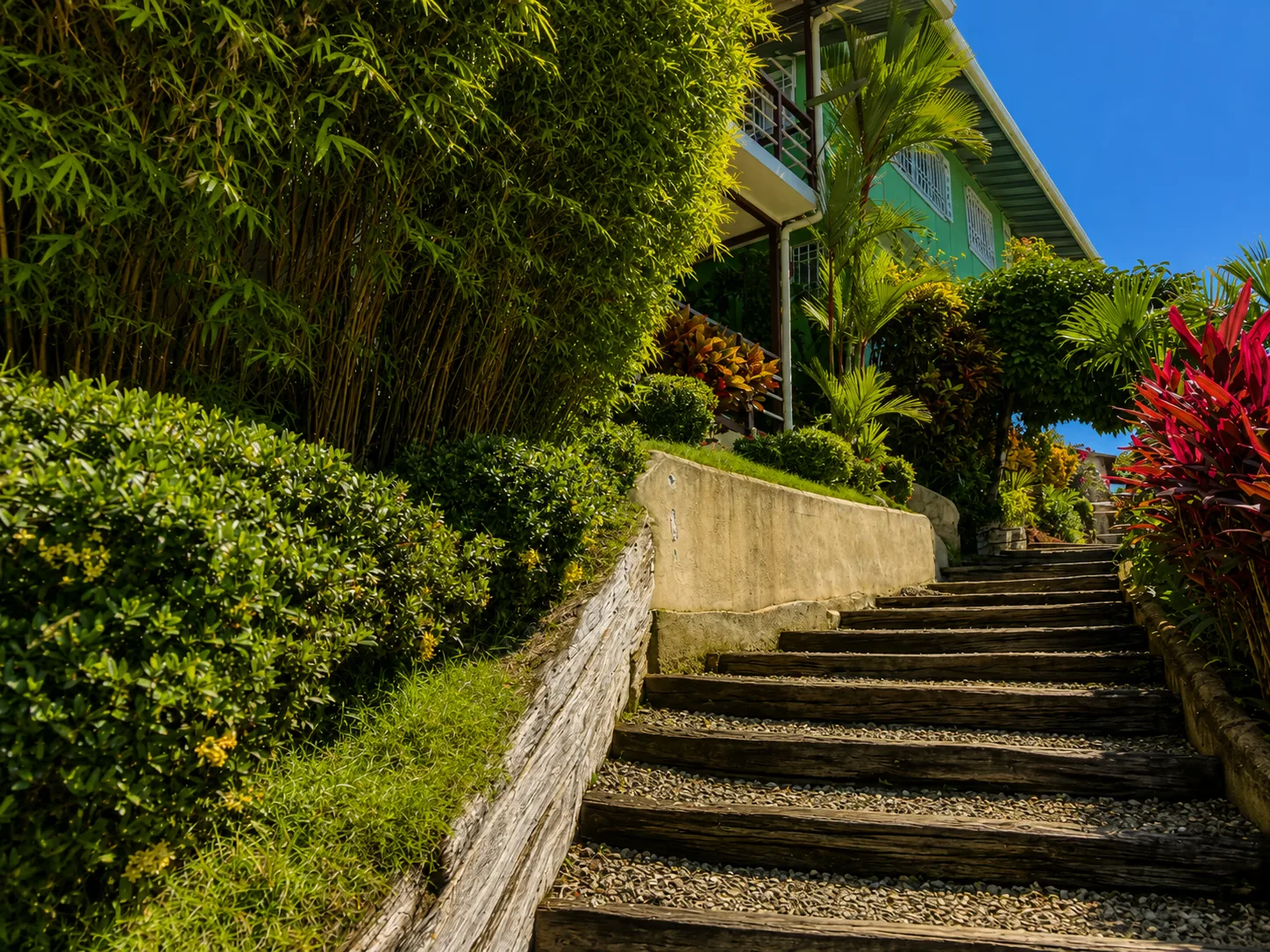 Bahia Vista