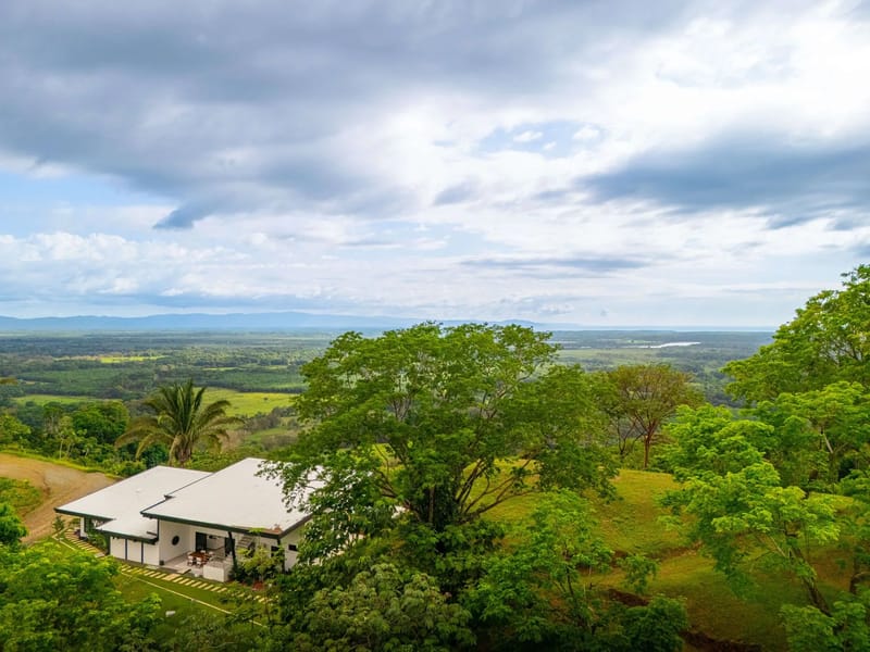 Panoramic 360