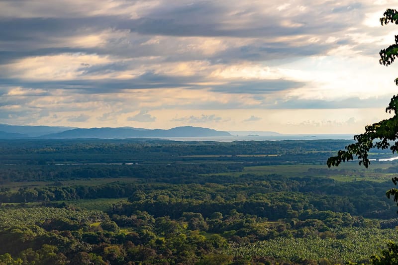Panoramic 360