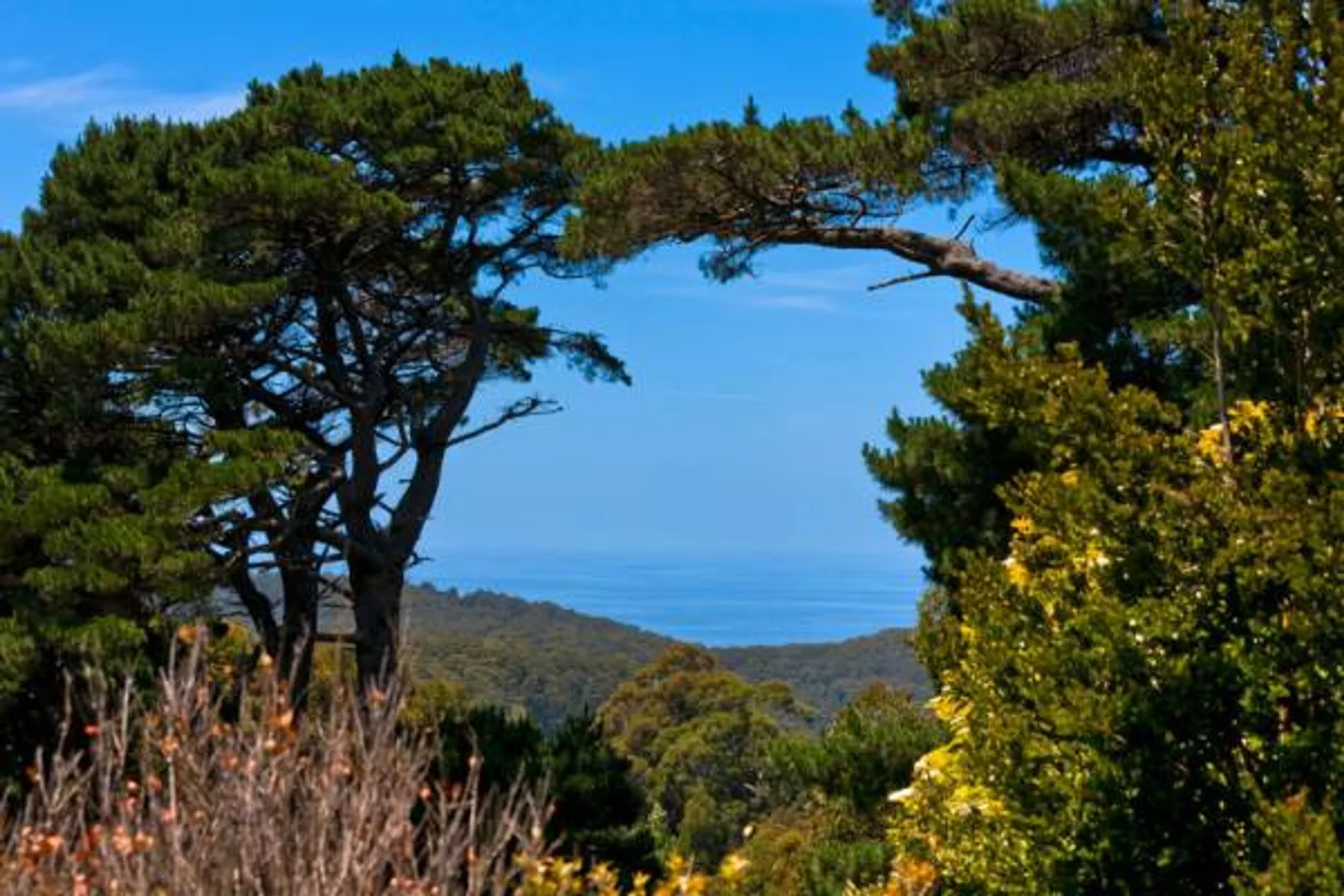 Vista a la costa