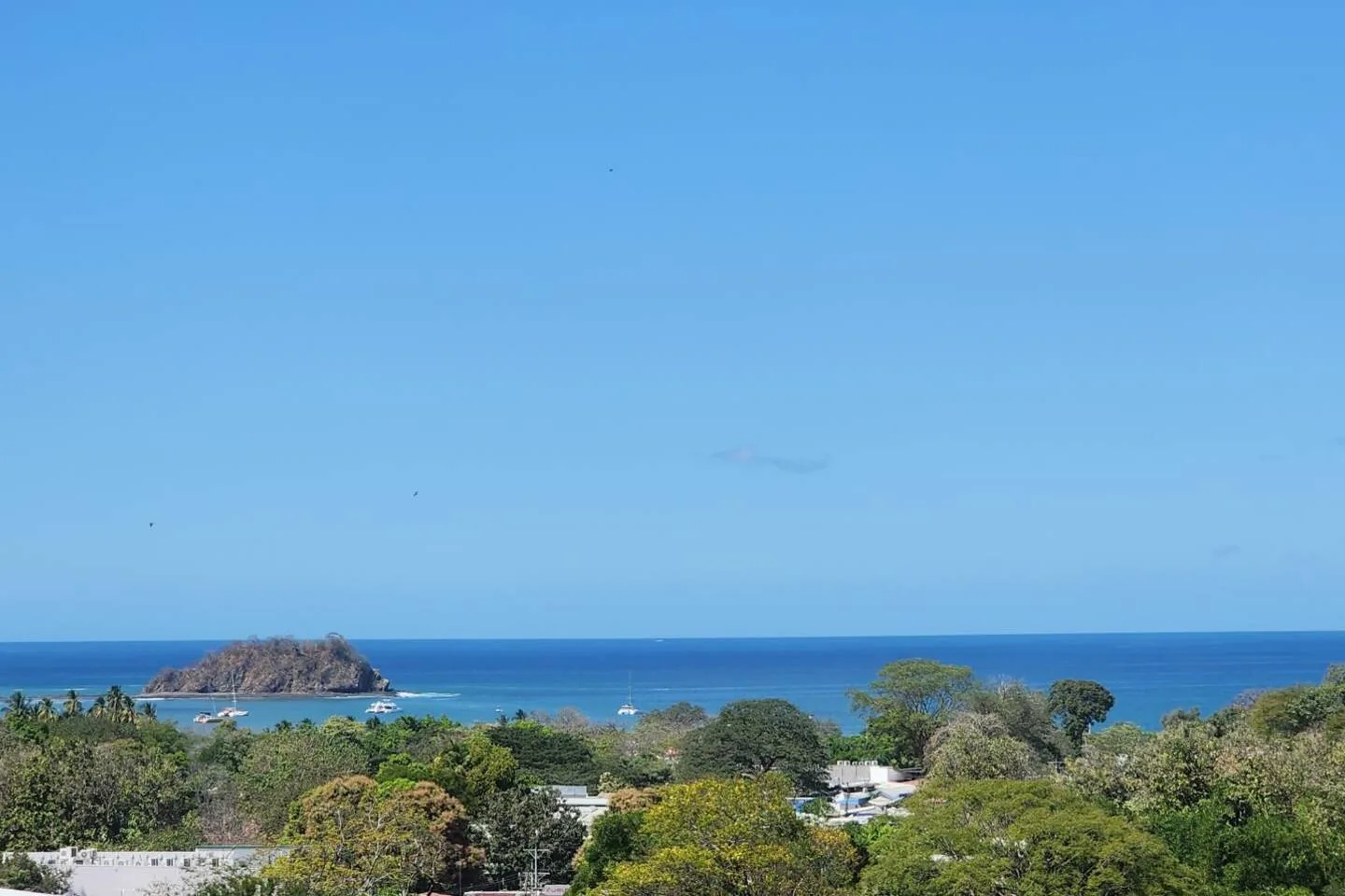 A coastal landscape with green trees, blue ocean, and a rocky island offshore.