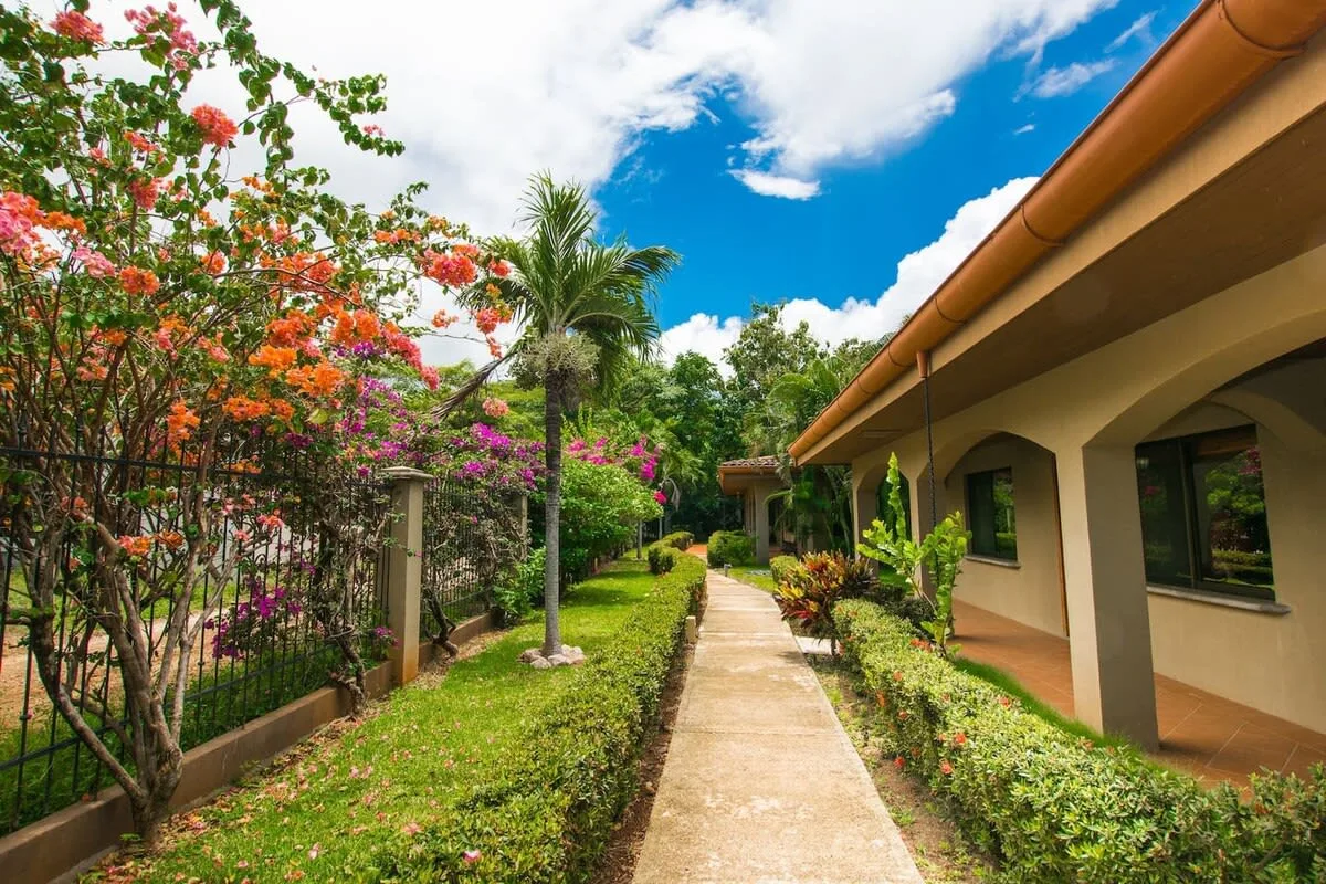 A garden walkway runs beside a building, bordered by flowering plants and greenery.
